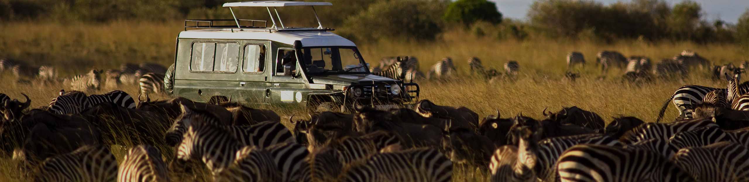Africa