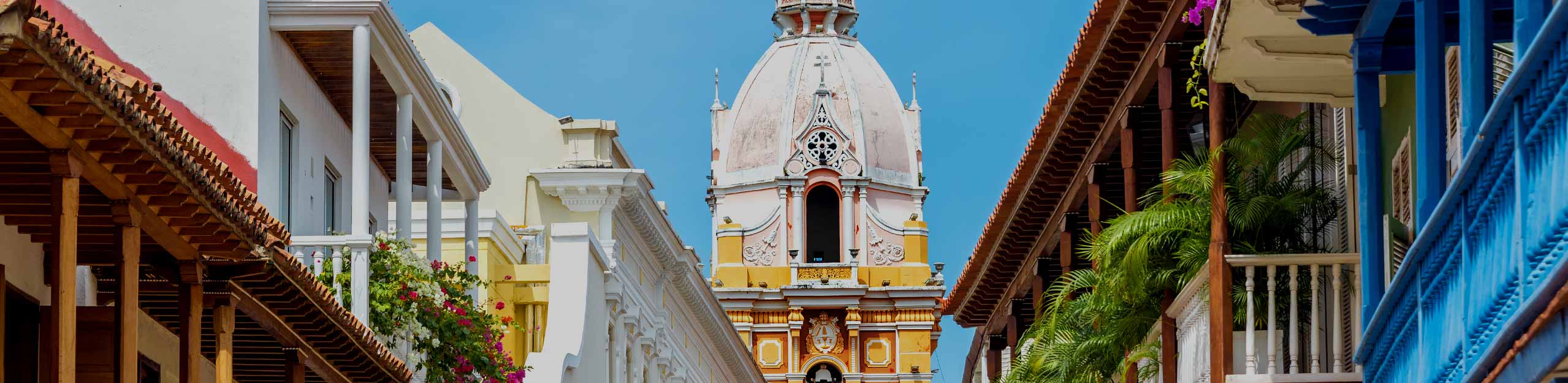 Country Banner Image